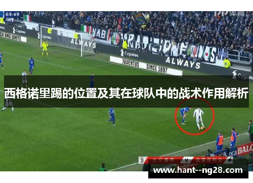 西格诺里踢的位置及其在球队中的战术作用解析 西格诺里踢的位置及其在球队中的战术作用解析