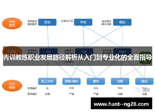 青训教练职业发展路径解析从入门到专业化的全面指导